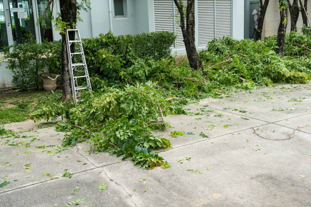 Best Aeration Services  in Queen Anne, MD